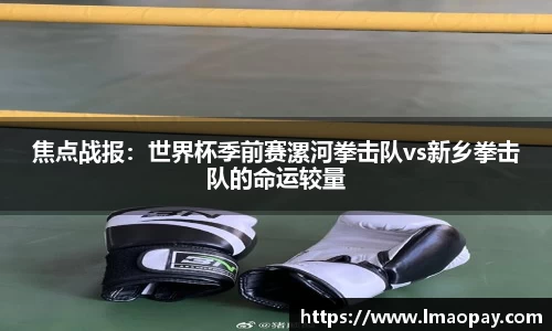 焦点战报：世界杯季前赛漯河拳击队vs新乡拳击队的命运较量